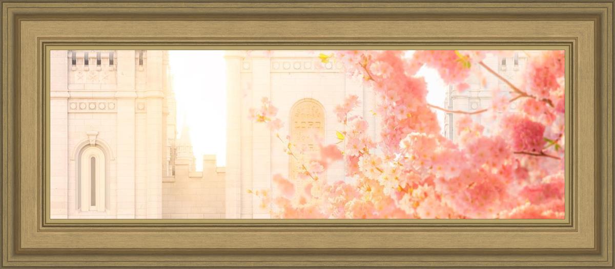 Salt Lake Blossom Glow