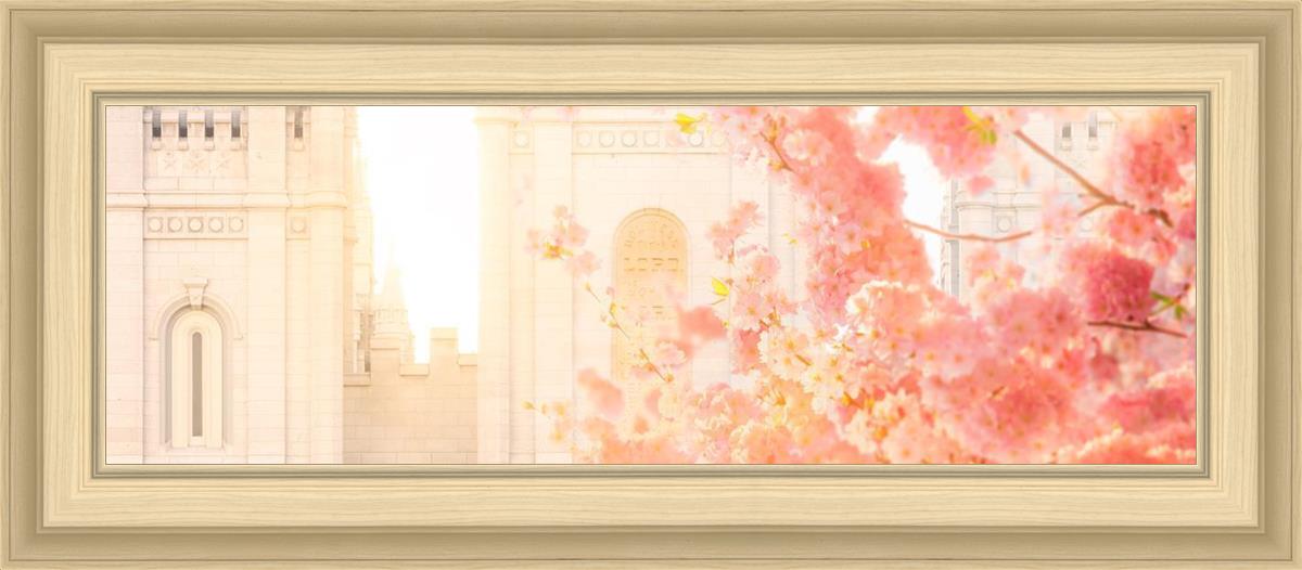 Salt Lake Blossom Glow