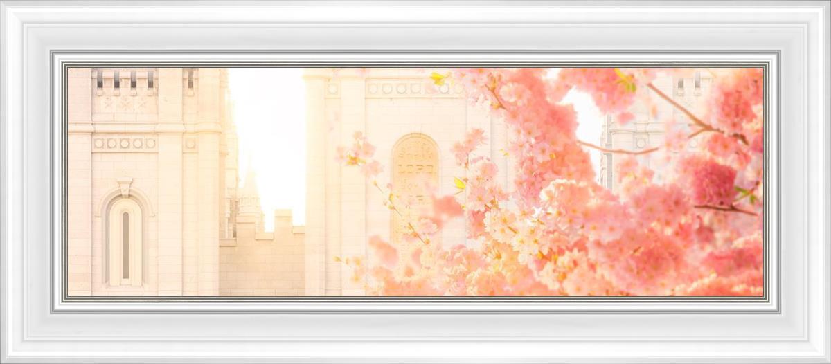 Salt Lake Blossom Glow