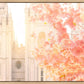Salt Lake Blossom Glow