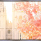 Salt Lake Blossom Glow