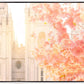 Salt Lake Blossom Glow