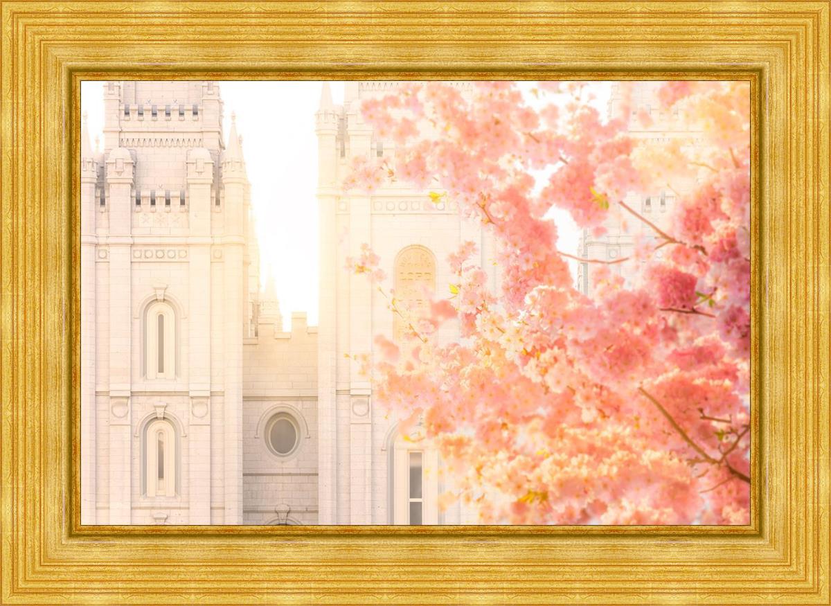 Salt Lake Blossom Glow