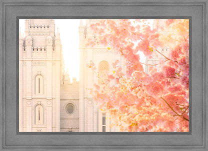 Salt Lake Blossom Glow