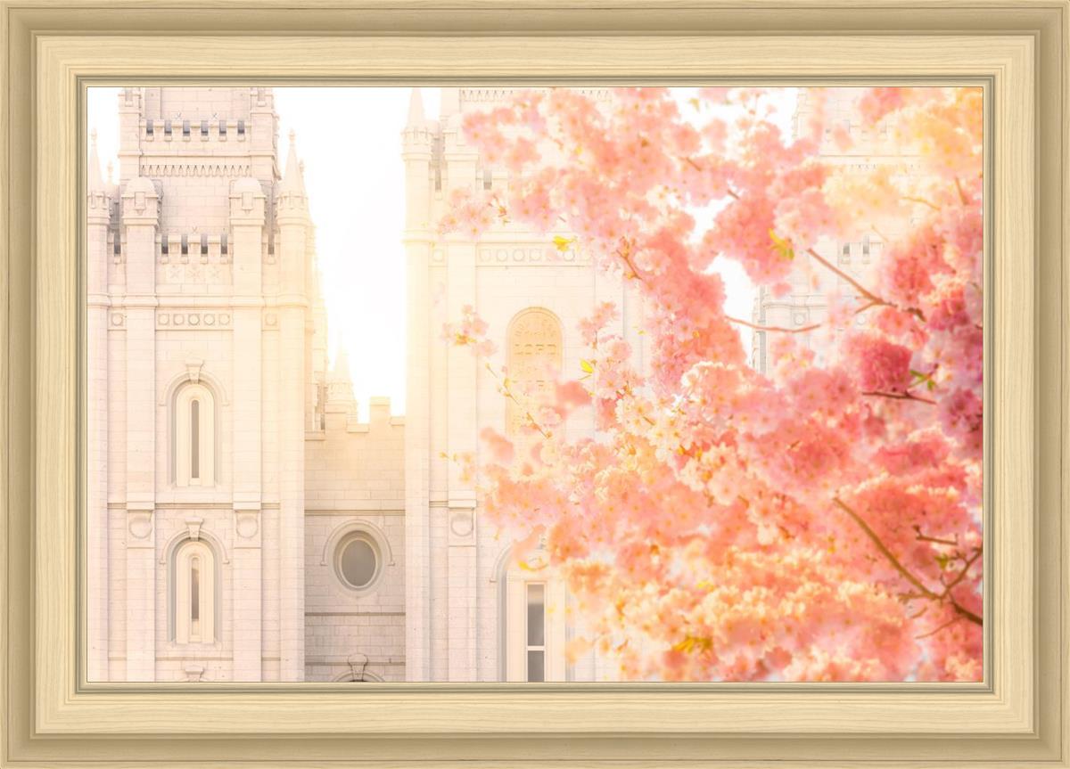 Salt Lake Blossom Glow