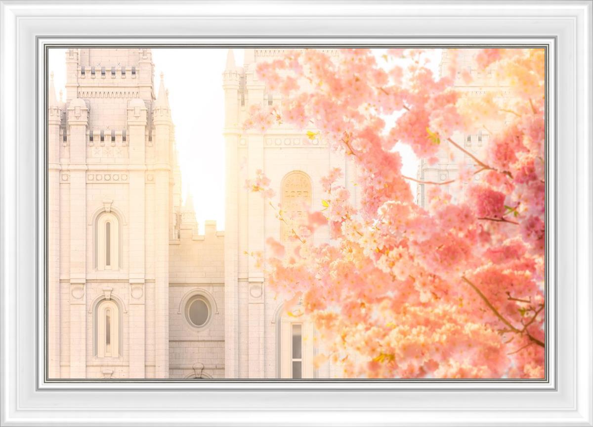 Salt Lake Blossom Glow