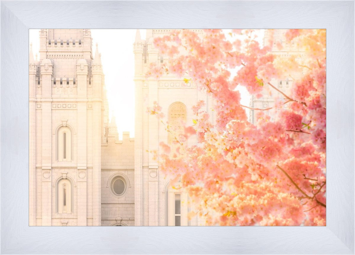 Salt Lake Blossom Glow