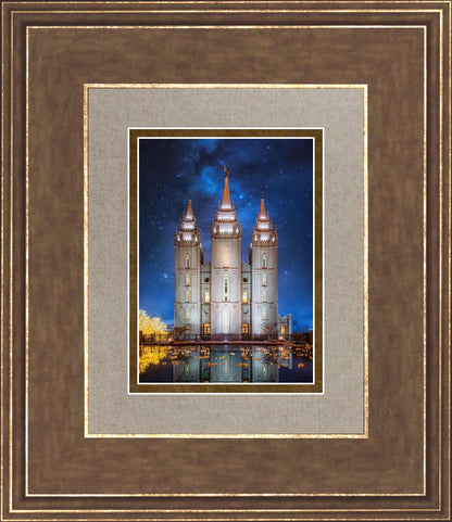 Salt Lake Starry Night