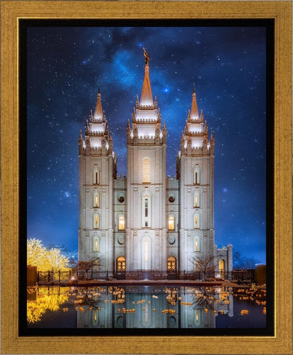 Salt Lake Starry Night