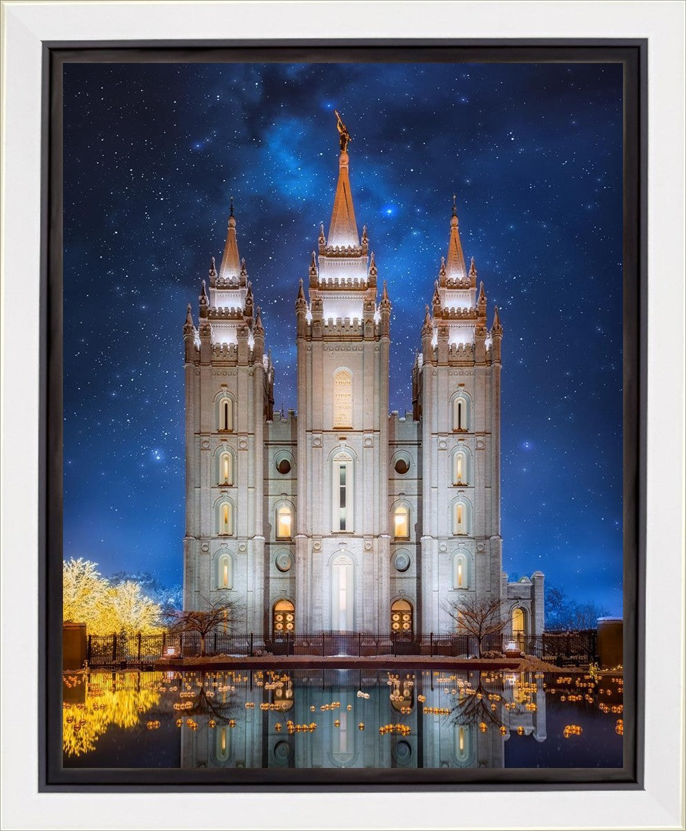 Salt Lake Starry Night Gallery Wrap