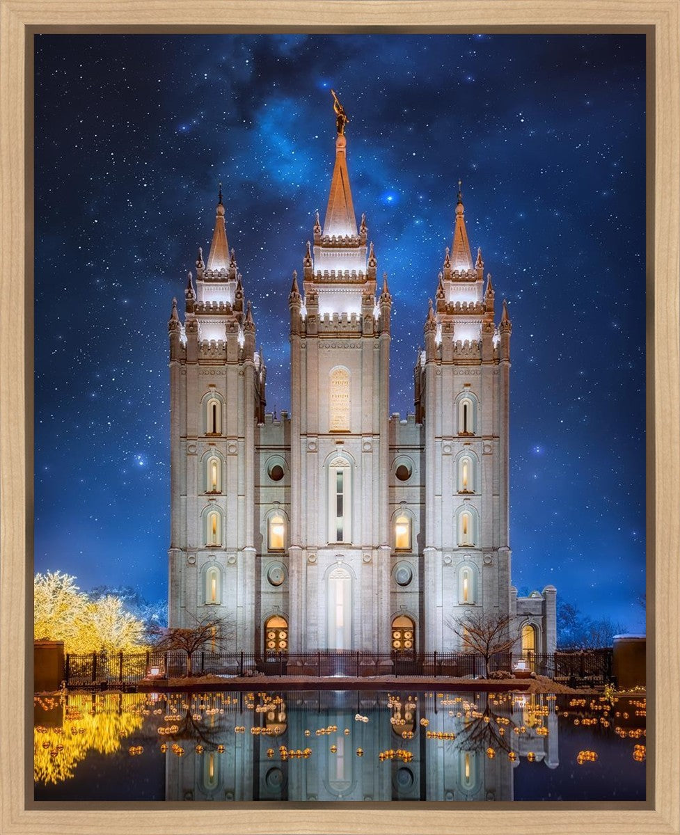 Salt Lake Starry Night Gallery Wrap
