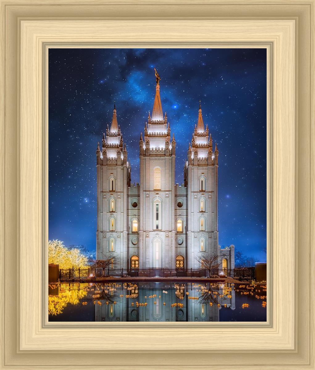 Salt Lake Starry Night