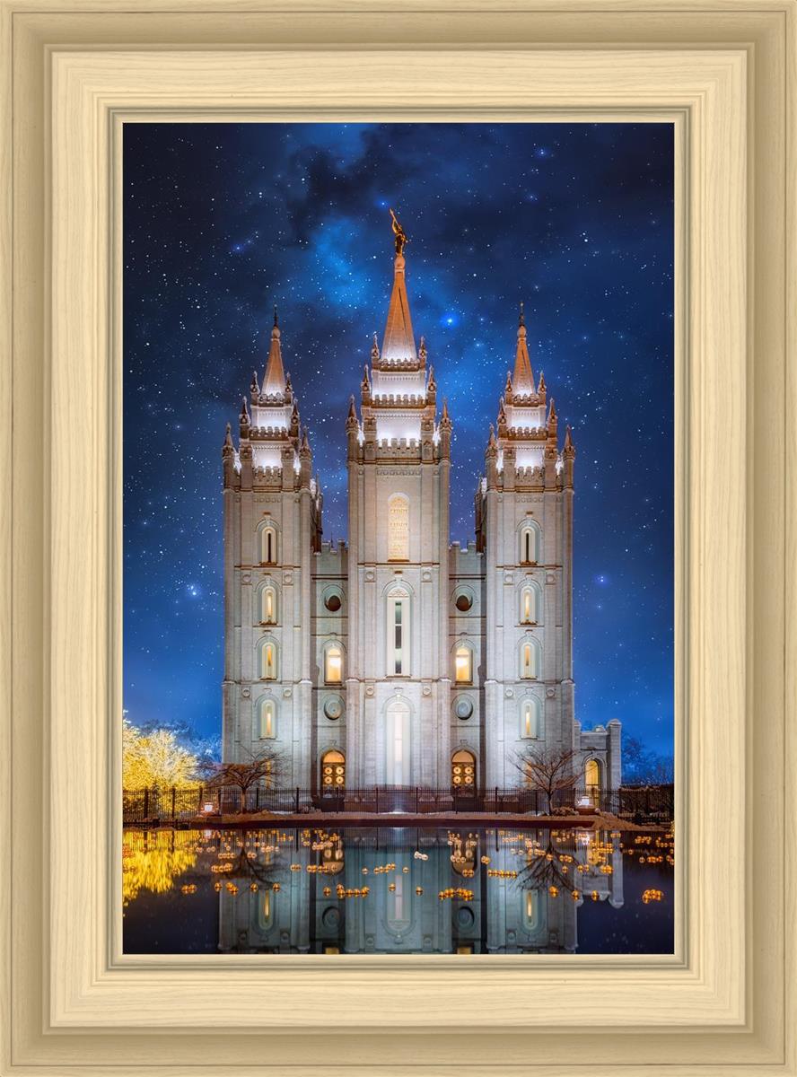 Salt Lake Starry Night