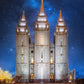 Salt Lake Starry Night
