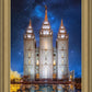 Salt Lake Starry Night