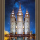 Salt Lake Starry Night