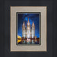 Salt Lake Starry Night Nativity