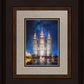 Salt Lake Starry Night Nativity