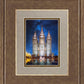 Salt Lake Starry Night Nativity
