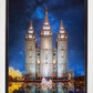 Salt Lake Starry Night Nativity