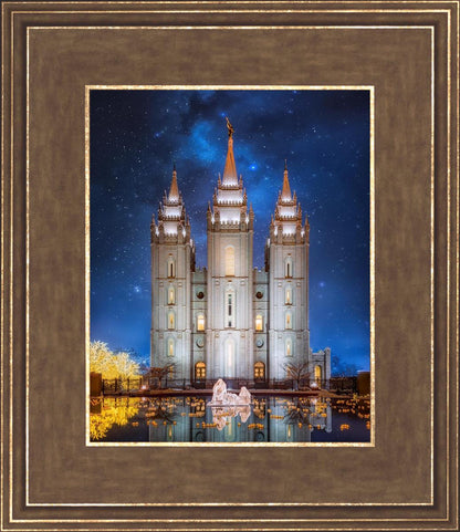 Salt Lake Starry Night Nativity