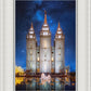 Salt Lake Starry Night Nativity