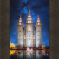 Salt Lake Starry Night Nativity