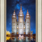 Salt Lake Starry Night Nativity
