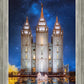 Salt Lake Starry Night Nativity