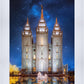 Salt Lake Starry Night Nativity