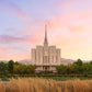 Oquirrh Grassy Morning