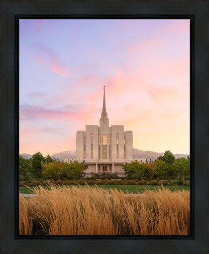 Oquirrh Grassy Morning