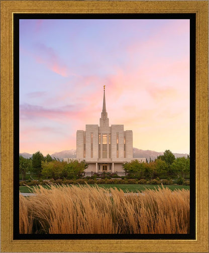 Oquirrh Grassy Morning