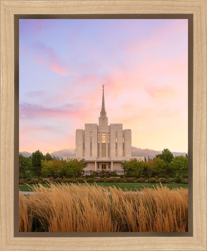 Oquirrh Grassy Morning