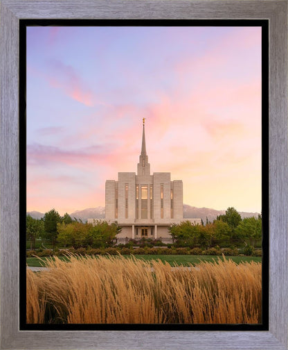Oquirrh Grassy Morning