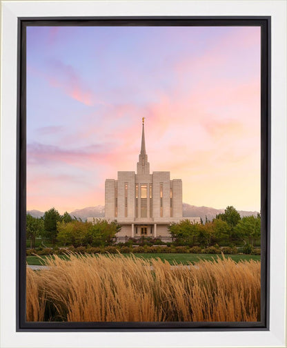 Oquirrh Grassy Morning