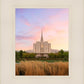 Oquirrh Grassy Morning
