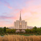 Oquirrh Grassy Morning
