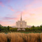 Oquirrh Grassy Morning