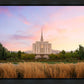 Oquirrh Grassy Morning