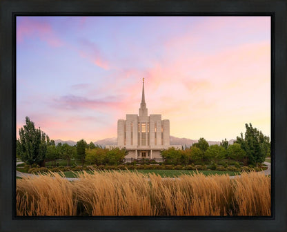 Oquirrh Grassy Morning