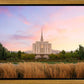 Oquirrh Grassy Morning