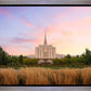 Oquirrh Grassy Morning