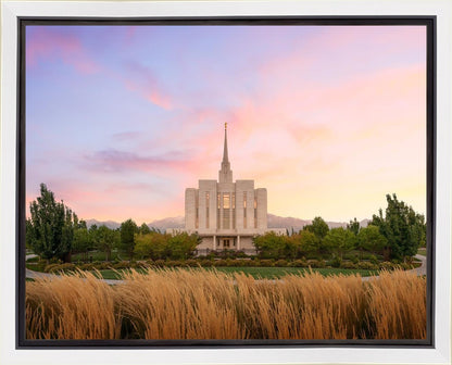 Oquirrh Grassy Morning