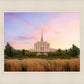 Oquirrh Grassy Morning