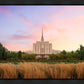 Oquirrh Grassy Morning