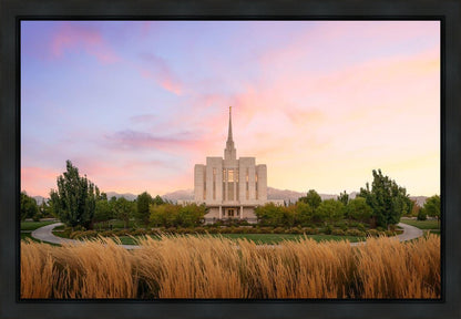 Oquirrh Grassy Morning