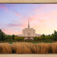 Oquirrh Grassy Morning