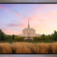 Oquirrh Grassy Morning