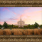 Oquirrh Grassy Morning